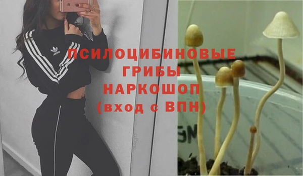 герыч Абдулино