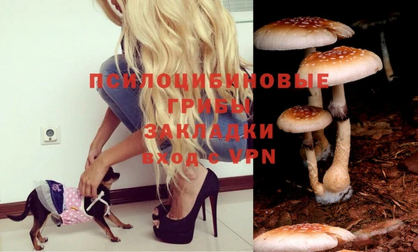 таблы Абинск