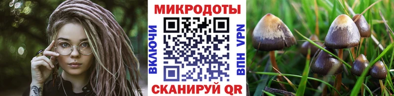 darknet телеграм  Берёзовка  Псилоцибиновые грибы ЛСД 
