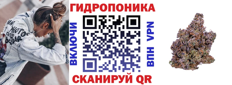 Бошки Шишки марихуана Берёзовка